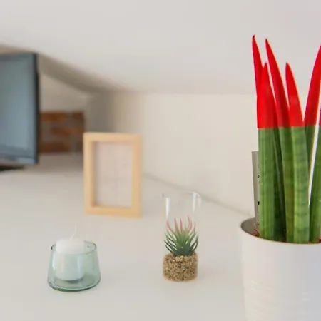 Willa Vista Allegra Pagoda - Con Piscina Colonnella